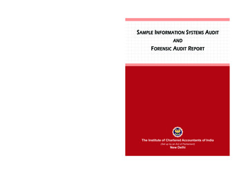 SAMPLE INFORMATION SYSTEMS AUDIT