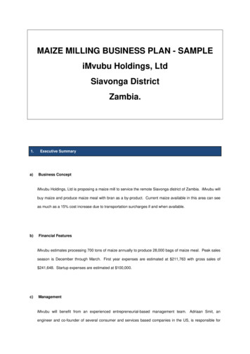 MAIZE MILLING BUSINESS PLAN - SAMPLE IMvubu Holdings, 