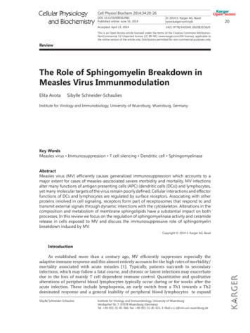 The Role Of Sphingomyelin Breakdown In Measles Virus .