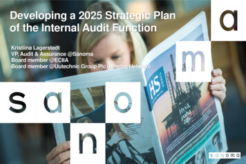 Developing A 2025 Strategic Plan Of The Internal Audit .