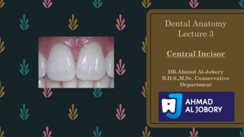 Dental Anatomy Lecture 3 - Cden.tu.edu.iq