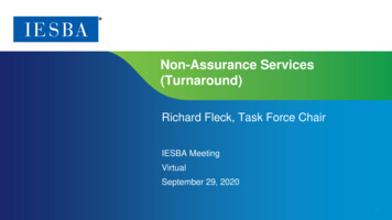 Non-Assurance Services (Turnaround)
