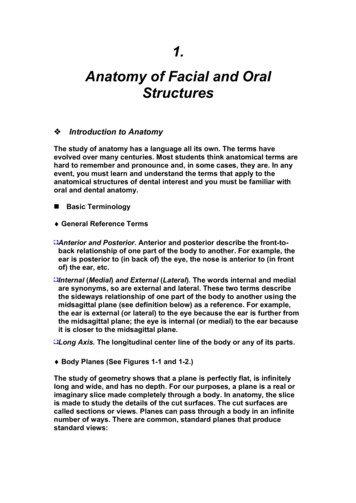 1. Anatomy Of Facial And Oral Structures