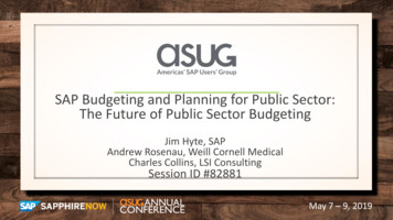 SAP Budgeting And Planning For Public Sector: The Future .