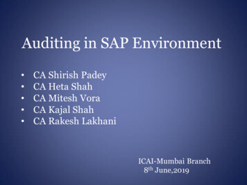 Auditing In SAP Environment - WIRC – ICAI
