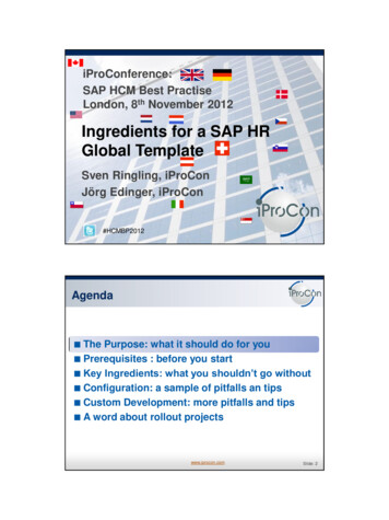 Ingredients For A SAP HR Global Template - IProCon