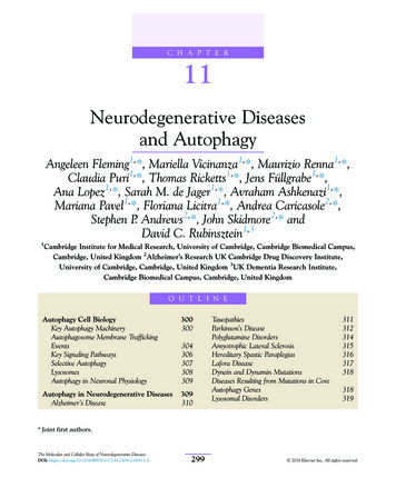 Chapter 11. Neurodegenerative Diseases And Autophagy