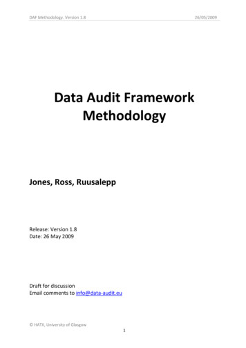 Data Audit Framework Methodology