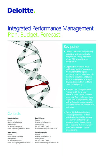 Integrated Performance Management Plan. Budget. Forecast.