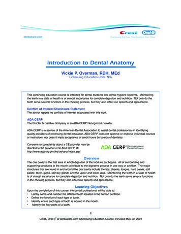 Introduction To Dental Anatomy - Bare Dental Clinic