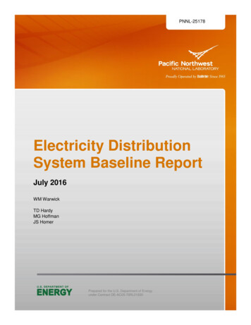 Electricity Distribution System Baseline Report