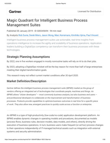 Magic Quadrant For Intelligent Business Pr Ocess