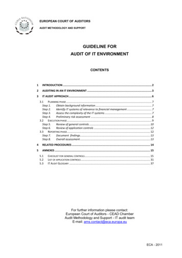 GUIDELINE FOR AUDIT OF IT ENVIRONMENT - Europa