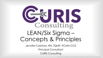 LEAN/Six Sigma Concepts & Principles