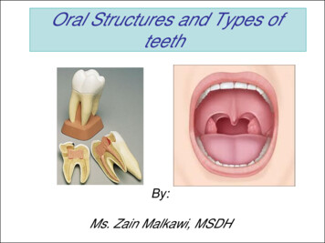 Oral Structures And Types Of Teeth - JUST