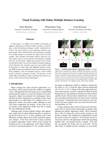 Visual Tracking With Online Multiple . - Stanford University