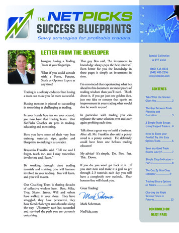 SUCCESS BLUEPRINTS - Netpicks