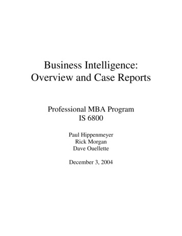 Business Intelligence: Overview And Case Reports