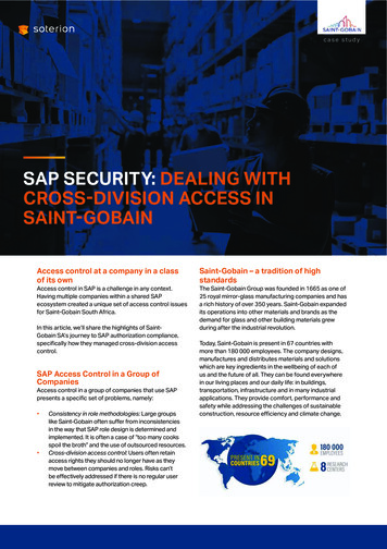 SAP SECURITY: DEALING WITH CROSS-DIVISION ACCESS IN SAINT .