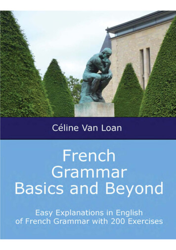 French Grammar Basics And Beyond EBookVersion