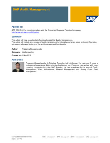 SAP Audit Management