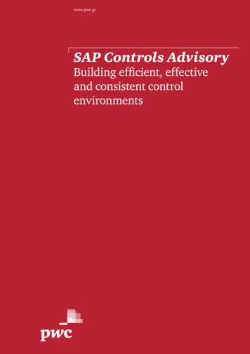 SAP Controls Advisory - PwC