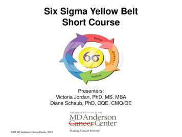 Six Sigma Yellow Belt Short Course - UT System