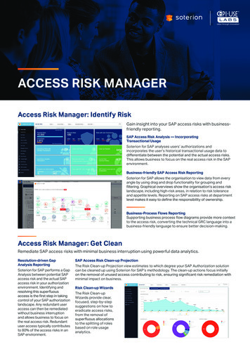 ACCESS RISK MANAGER