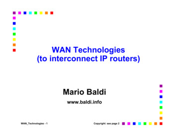 WAN Technologies (to InterconnectIP Routers) Mario Baldi