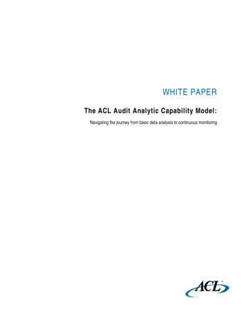 ACL Audit Analytic Capability Model