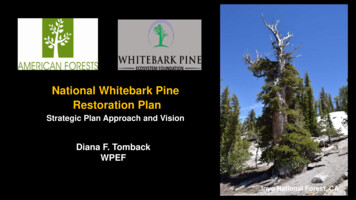 National Whitebark Pine Restoration Plan