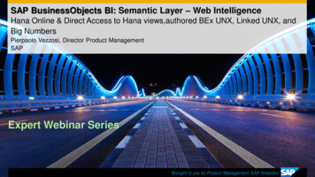 SAP BusinessObjects BI: Semantic Layer