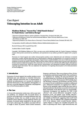 Case Report Telescoping Intestine In An Adult