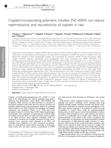 Cisplatin-incorporating Polymeric Micelles (NC-6004) Can .
