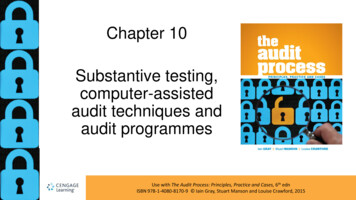Chapter 10 Substantive Testing, Computer-assisted Audit .