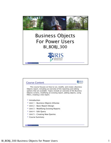 Business Objects For Power Users