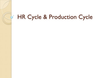 HR Cycle & Production Cycle