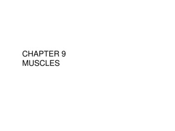 CHAPTER 9 MUSCLES - Warner Pacific University