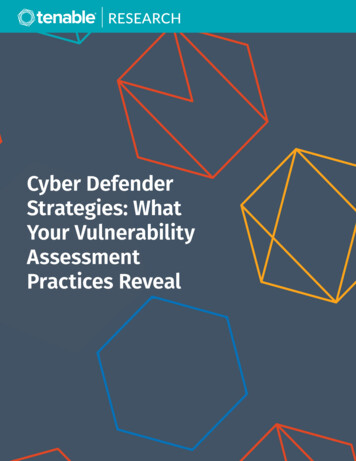 Cyber Defender Strategies: What Your Vulnerability .