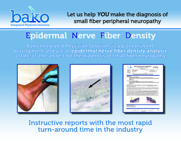 Epidermal Nerve Fiber Density - Bako Diagnostics