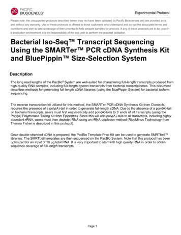 Experimental Protocol - Bacterial Iso-Seq Transcript .