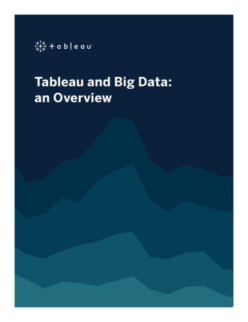 Tableau And Big Data: An Overview