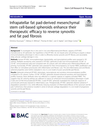 Infrapatellar Fat Pad-derived Mesenchymal Stem Cell-based .