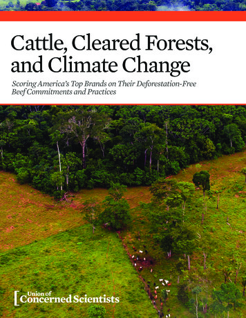 Cattle, Cleared Forests, And Climate Change