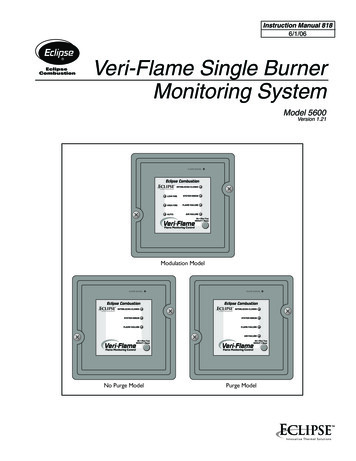 Veri-Flame Single Burner Monitoring System