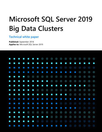 Microsoft SQL Server 2019 Big Data Clusters