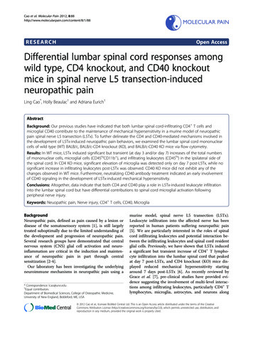 Cao MOLECULAR PAIN RESEARCH Open Access Differential .