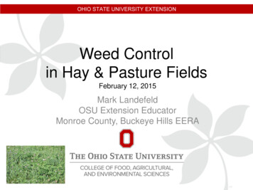 Weed Control In Hay & Pasture Fields - Home Monroe