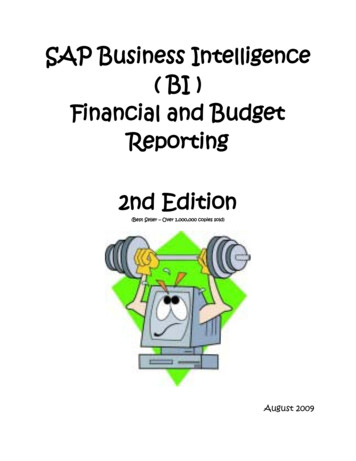 SAP Business Intelligence ( BI ) Financial And Budget .