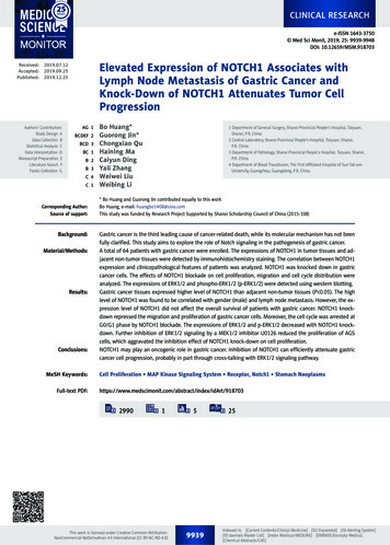 Elevated Expression Of NOTCH1 Associates With Lymph Node .